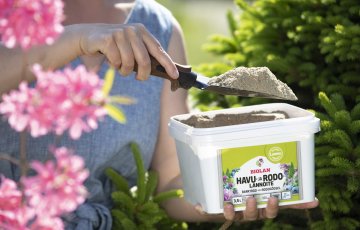 Püsikutest rõõmu mitmeks aastaks