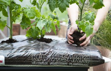 Kotipõllundus kogub populaarsust