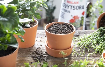 Korduvad küsimused: Kergkruus