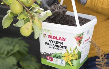 Nüüd on sügisväetamise aeg