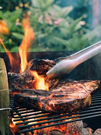 Biolan Grillsöed