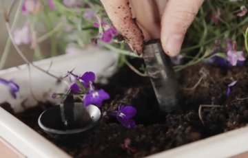 Väetist kogu suveks ja ühe korraga