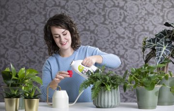 Toataimede väetamine