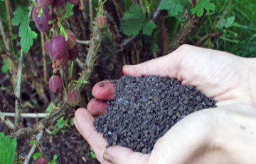 Biolan Organic – meie uued väetised koduaednikele