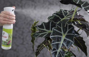 TOATAIMEDE HOOLDAMINE TALVEL